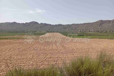 Helårsgrund i Yecla, Murcia, Yecla - € 39.000 | Ref: SF0472 - foto 7